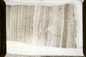 Plane Polarized, ED8476