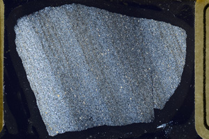 Cross Polarized, ED8479