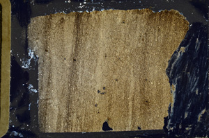 Cross Polarized, ED8484