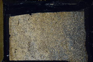 Cross Polarized, ED8487