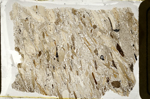 Plane Polarized, ED8492