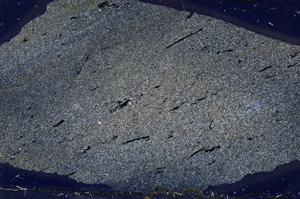 Cross Polarized, ED8500