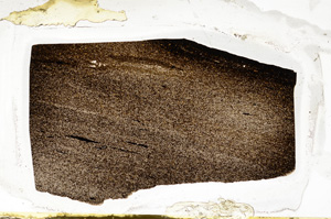 Plane Polarized, ED8523