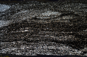 Cross Polarized, ED8528