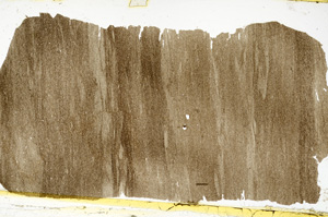 Plane Polarized, ED8553