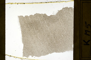 Plane Polarized, ED8556