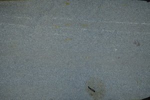 Cross Polarized, ED8569