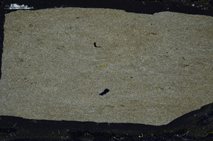 Cross Polarized, ED8572