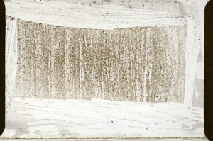 Plane Polarized, ED8600