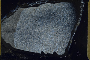 Cross Polarized, ED8610