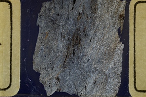 Cross Polarized, ED8620