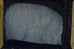 Cross Polarized, ED8627