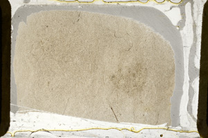 Plane Polarized, ED8627