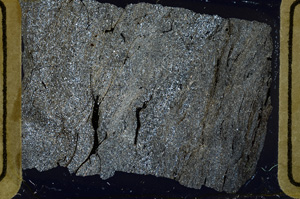 Cross Polarized, ED8636