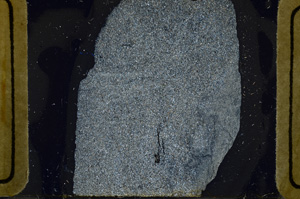 Cross Polarized, ED8641