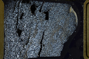 Cross Polarized, ED8647