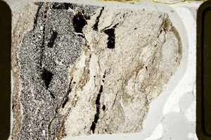 Plane Polarized, ED8647