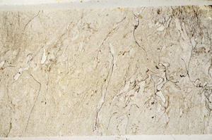 Plane Polarized, ED8650