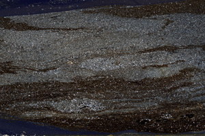 Cross Polarized, ED8666