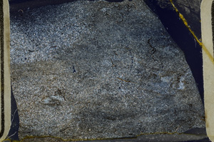 Cross Polarized, ED8668