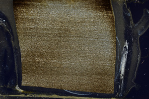 Cross Polarized, ED8718