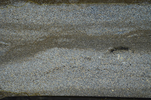 Cross Polarized, ED8767