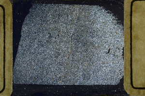 Cross Polarized, ED8785