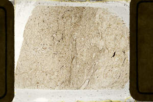 Plane Polarized, ED8785