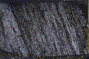 Cross Polarized, ED8790