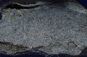 Cross Polarized, ED8799