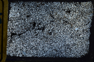 Cross Polarized, ED8810