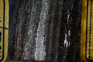 Cross Polarized, ED8811