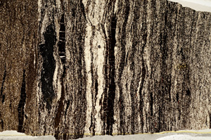 Plane Polarized, ED8813