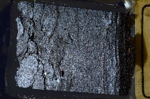 Cross Polarized, ED8814