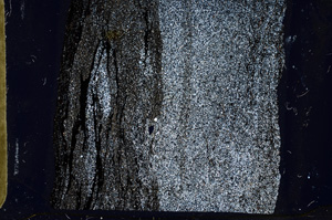 Cross Polarized, ED8816