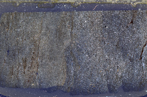 Cross Polarized, ED8827