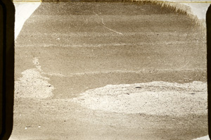 Plane Polarized, ED8830