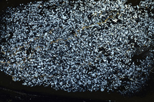 Cross Polarized, ED8883