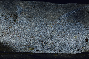 Cross Polarized, ED8897