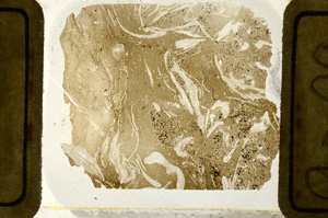 Plane Polarized, ED9029