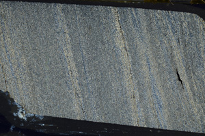 Cross Polarized, ED9064