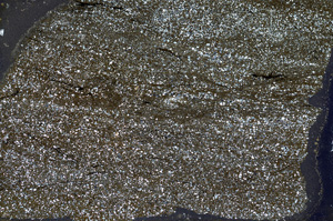 Cross Polarized, ED9125