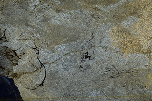 Cross Polarized, ED9139