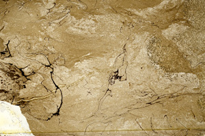 Plane Polarized, ED9139