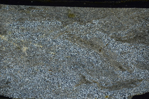 Cross Polarized, ED9144