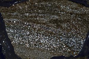 Cross Polarized, ED9167