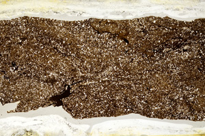 Plane Polarized, ED9175