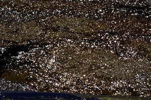 Cross Polarized, ED9179