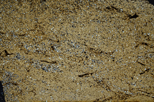 Cross Polarized, ED9193