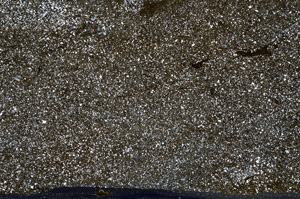 Cross Polarized, ED9194